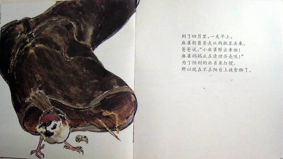 儿童绘本故事《雨靴里的麻雀》