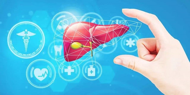 秋季养肝护肝 7种食物最养肝护肝