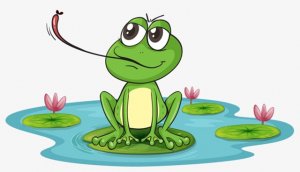 儿童故事：找啊找啊找青蛙