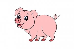 小猪的简笔画怎么画图片