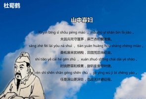 山中寡妇杜荀鹤古诗带拼音版