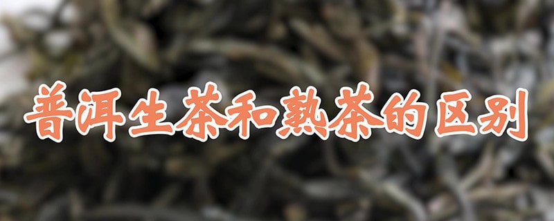 普洱生茶和熟茶的区别