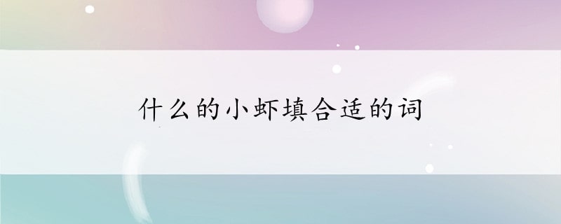 什么的小虾填合适的词