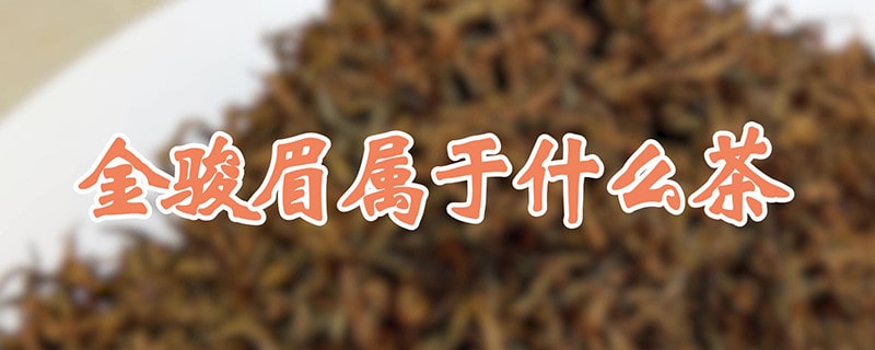 金骏眉属于什么茶