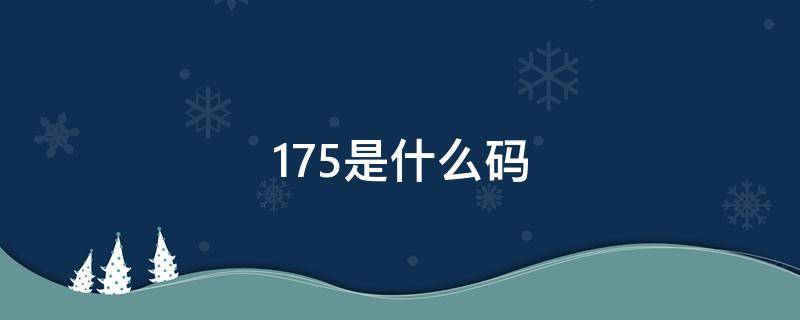 175是什么码