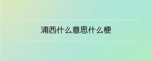 浦西什么意思什么梗