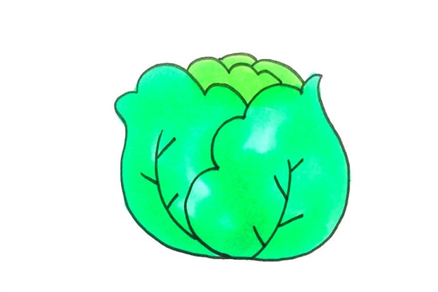 蔬菜简笔画卷心菜怎么画