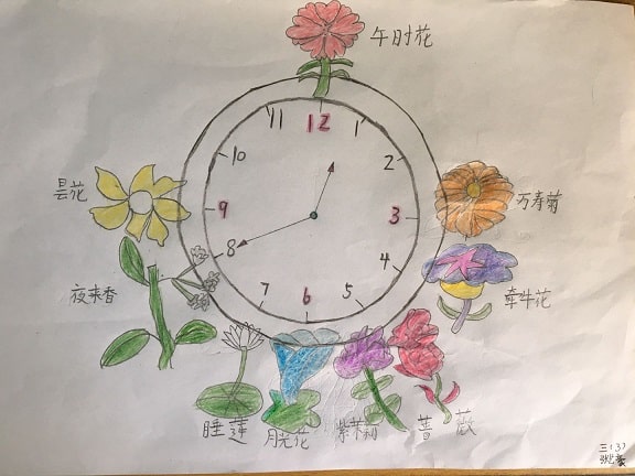 花钟怎么画图片