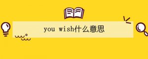 you wish什么意思