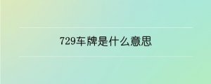 729车牌是什么意思