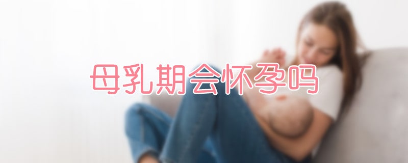 母乳期会怀孕吗