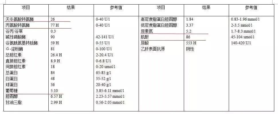 孕妇建档攻略