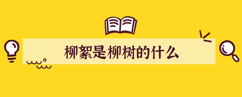 柳絮是柳树的什么