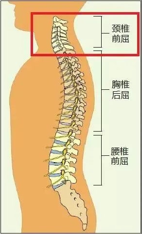 婴儿什么时候用枕头