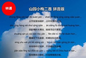 林逋山园小梅二首古诗带拼音版