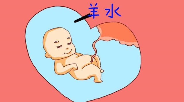 羊水是胎儿生命之水，为什么叫羊水？