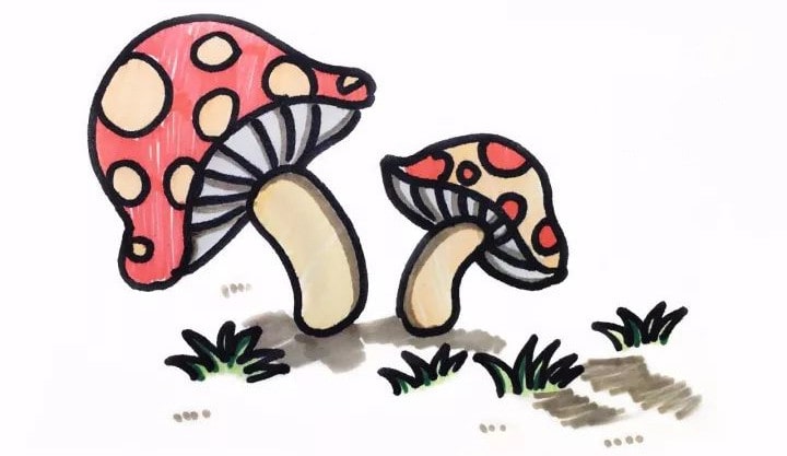 两个小蘑菇简笔画