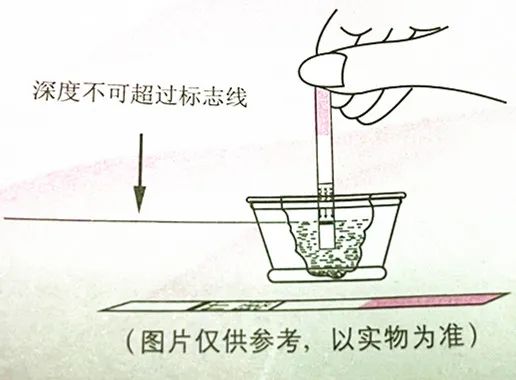 手把手教你测排卵试纸怎么用