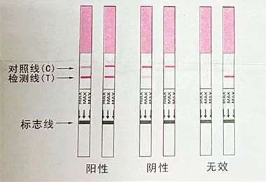 手把手教你测排卵试纸怎么用