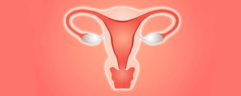 子宫肌瘤是什么