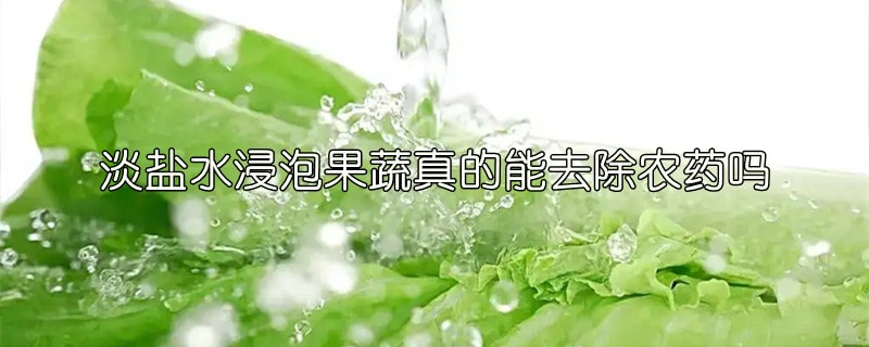 淡盐水浸泡果蔬真的能去除农药吗