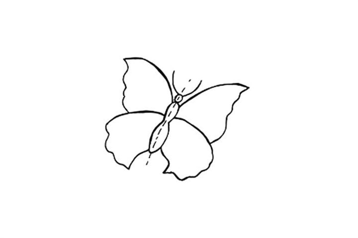 漂亮的蝴蝶简笔画画法图解