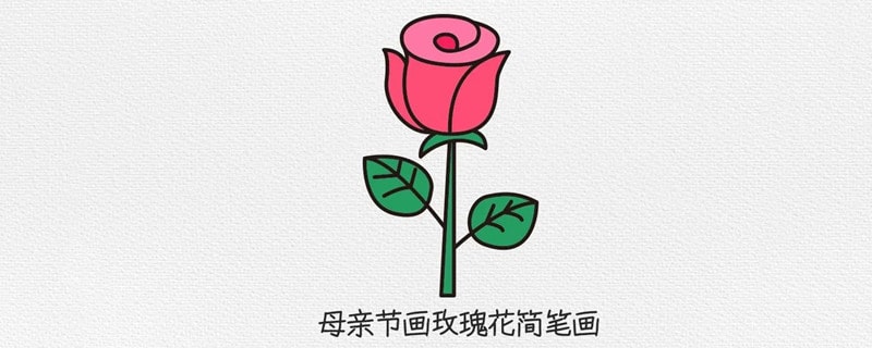 母亲节画玫瑰花简笔画