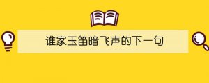 谁家玉笛暗飞声的下一句