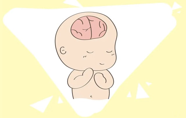 7个简单方法促进胎儿大脑发育