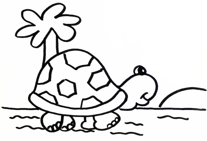 海滩边的小乌龟简笔画图片