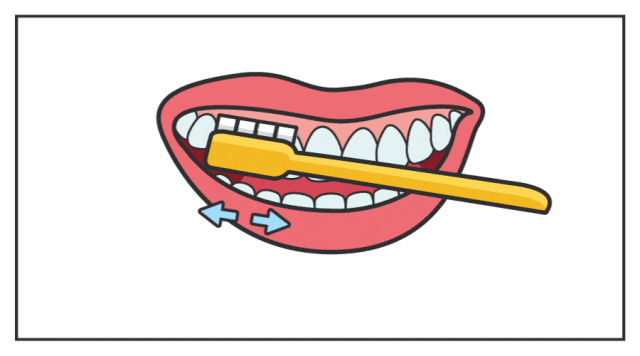 3-6岁儿童刷牙的正确方法