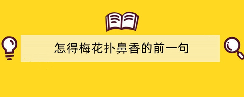 怎得梅花扑鼻香的前一句