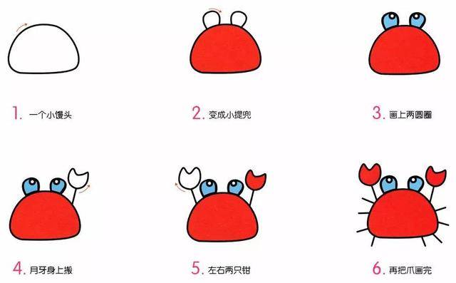 海洋生物简笔画教程图片10种