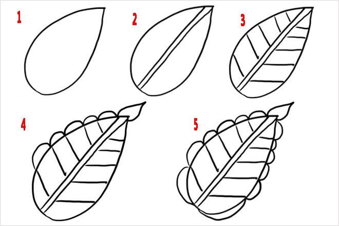 树叶简笔画的画法10种