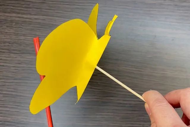 彩纸手工制作会扇动翅膀的蝴蝶玩具