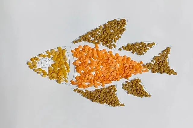 谷物粘贴画彩色鱼