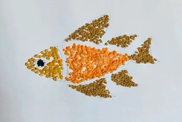 谷物粘贴画彩色鱼