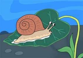 蜗牛简笔画怎么画图片