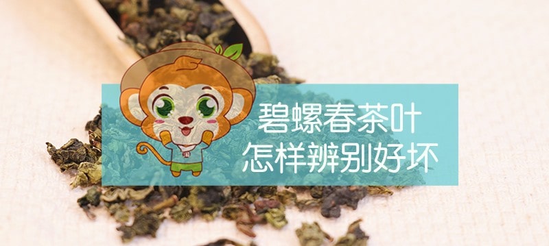 碧螺春茶叶怎样辨别好坏