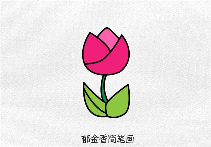 郁金香卡通图片简笔画图文教程