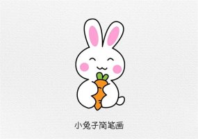 抱着萝卜的可爱小白兔简笔画图文教程