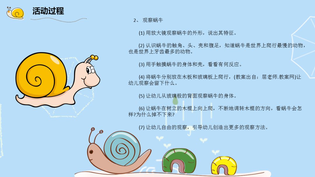 幼儿园大班科学教案：饲养蜗牛