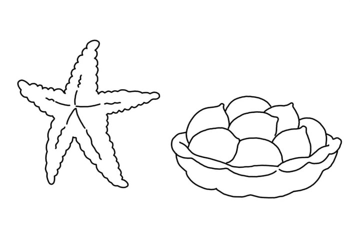海星与柠檬简笔画步骤图片