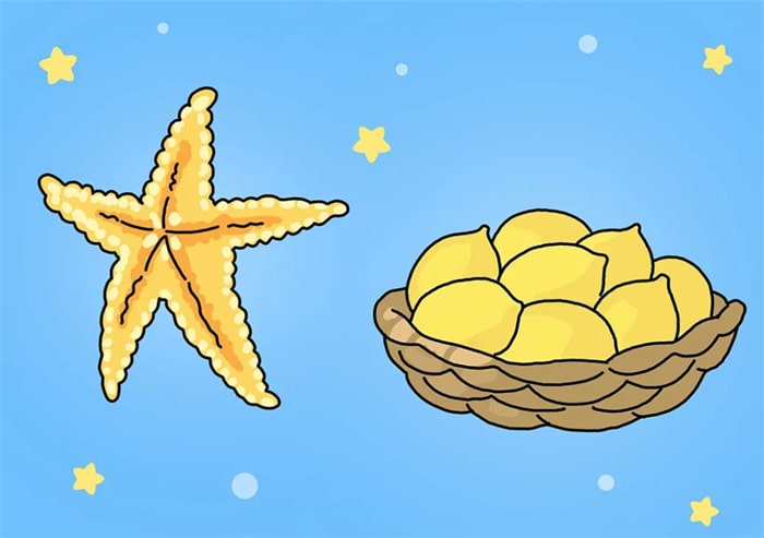 海星与柠檬简笔画步骤图片