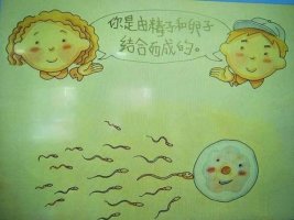 幼儿园社会活动：我从哪里来