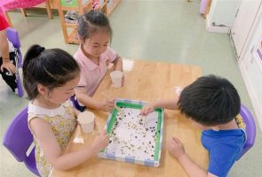 幼儿园中班健康活动教案：筷子夹夹乐