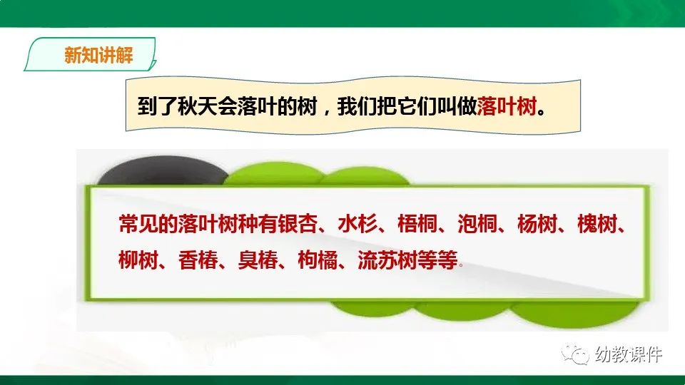 幼儿园中班科学教案《树叶为什么会变黄》PPT课件