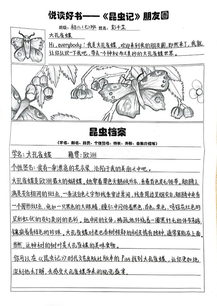 昆虫记昆虫档案手抄报