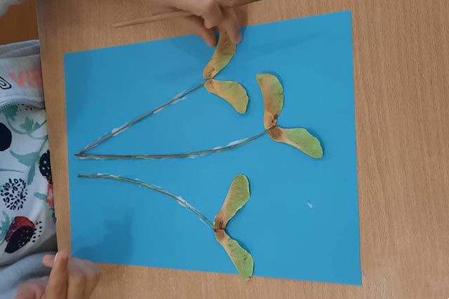 枫树种子粘贴画制作花束(步骤图解)