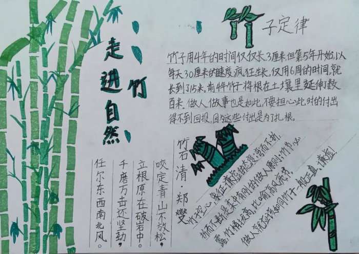 关于竹文化的手抄报